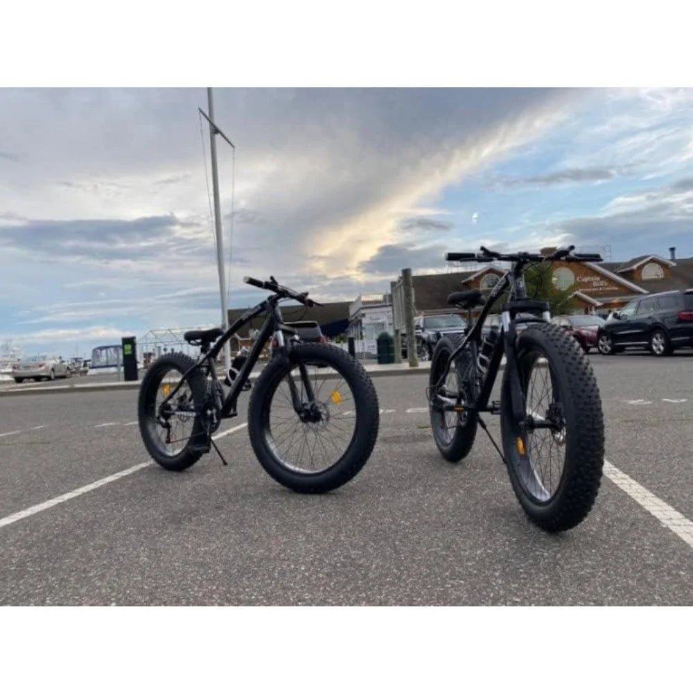 Max4out OUTROAD 26 inch Fat/Normal Tire Mountain Bike, 21 Speed with Dual Front Suspension, Double Disc Brake and High Carbon Steel Frame Anti-Slip Bicycle, Men and Women