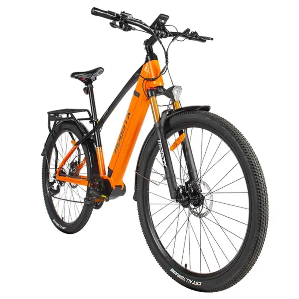 Heda TX90 Electric Bike 29x2.1 inch Tire 250W Mid Motor E-Bike 48V 16Ah Battery 60-80km Range Hydraulic Brake Electric Bicycle