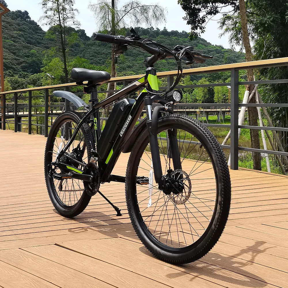 IDOTATA E-Bike 500W